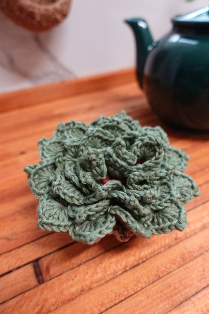 Crochet Succulent Plant Pot Coaster Set Written Pattern, Brunaticality